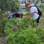 На базе ГБОУ лицей г. Сызрани в летний период организована площадка по трудоустройству подростков.